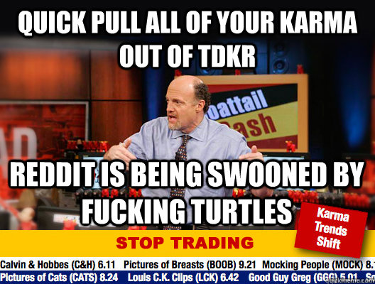 quick pull all of your karma out of tdkr reddit is being swooned by fucking turtles  