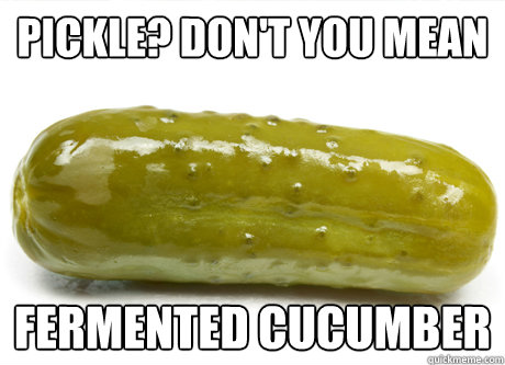 Pickle? Don't you mean FERMENTED CUCUMBER - Pickle? Don't you mean FERMENTED CUCUMBER  Misc