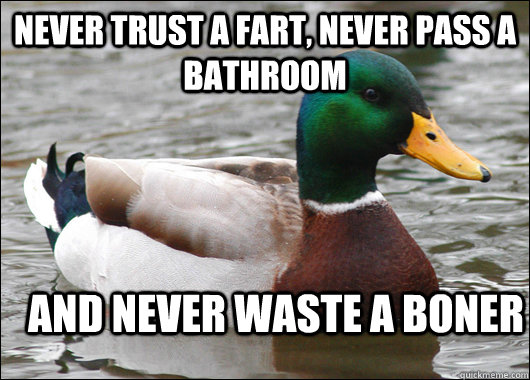 Never trust a fart, never pass a bathroom and never waste a boner  Actual Advice Mallard