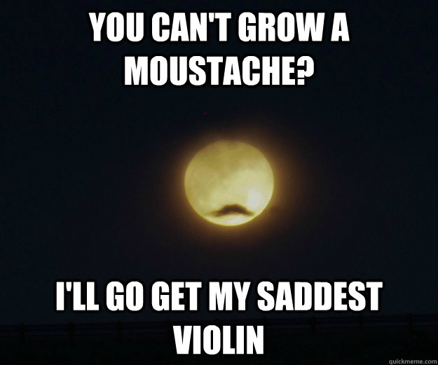 You can't grow a moustache? I'll go get my saddest violin - You can't grow a moustache? I'll go get my saddest violin  Overly Manly Moon