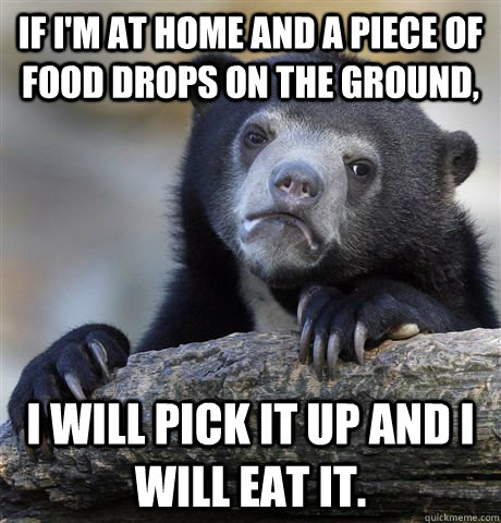 If i'm at home and a piece of food drops on the ground,  I will pick it up and i will eat it.  Confession Bear