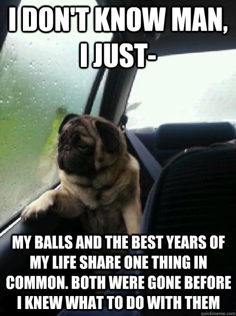 I don't know man, I just- My balls and the best years of my life share one thing in common. Both were gone before I knew what to do with them  Introspective Pug