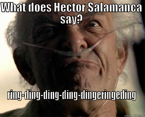 WHAT DOES HECTOR SALAMANCA SAY? RING-DING-DING-DING-DINGERINGEDING Misc