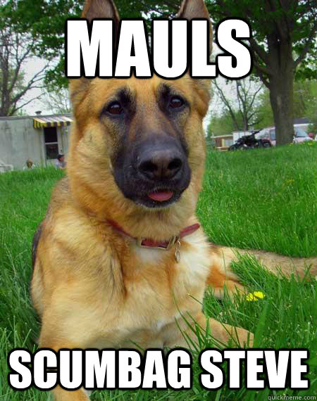 Mauls scumbag steve - Mauls scumbag steve  Best Friend Dog