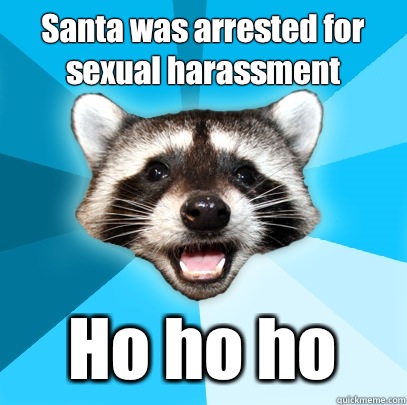 Santa was arrested for sexual harassment  Ho ho ho   Lame Pun Coon