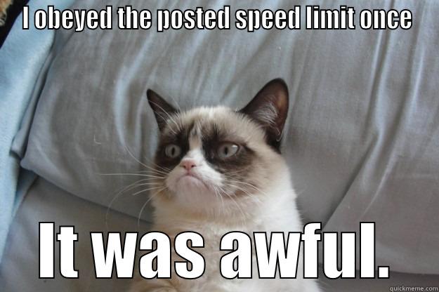 I OBEYED THE POSTED SPEED LIMIT ONCE IT WAS AWFUL. Grumpy Cat