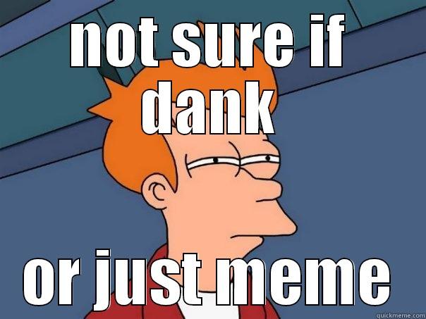 NOT SURE IF DANK OR JUST MEME Futurama Fry