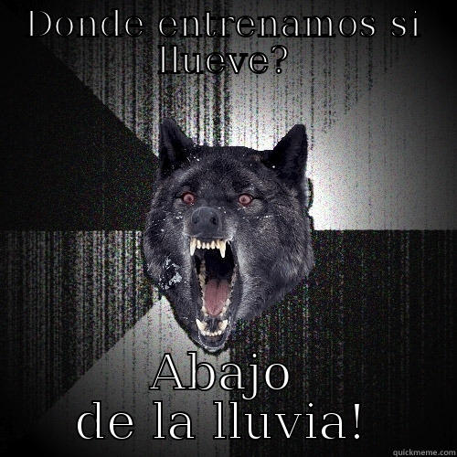 DONDE ENTRENAMOS SI LLUEVE? ABAJO DE LA LLUVIA! Insanity Wolf
