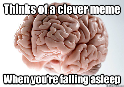 Thinks of a clever meme When you're falling asleep  - Thinks of a clever meme When you're falling asleep   Scumbag Brain