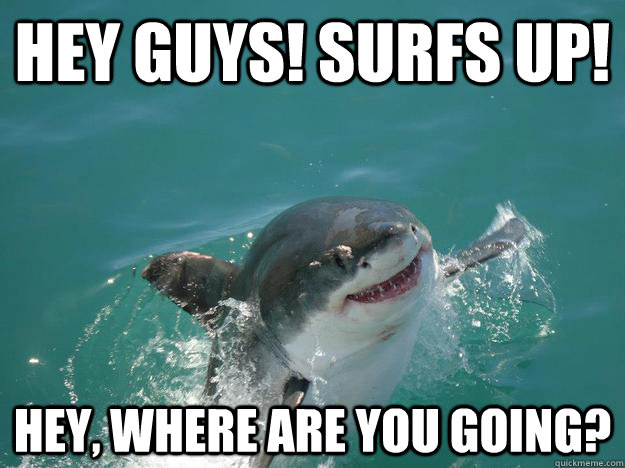 Hey guys! Surfs up! Hey, where are you going? - Hey guys! Surfs up! Hey, where are you going?  Misc