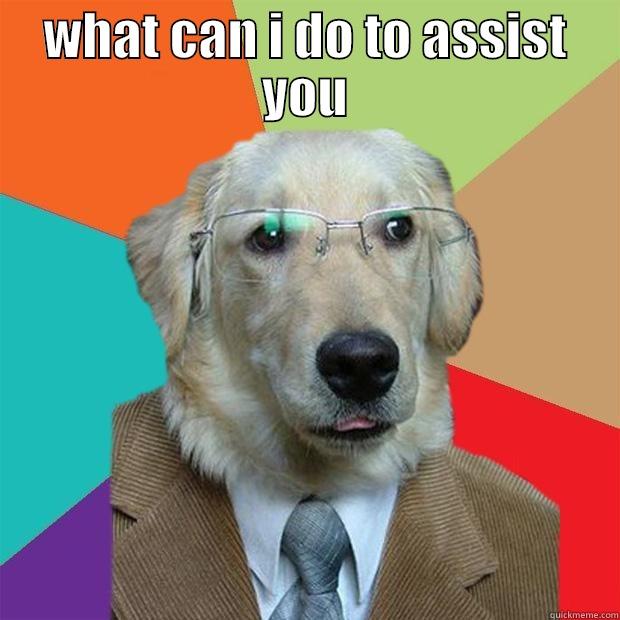 WHAT CAN I DO TO ASSIST YOU  Business Dog