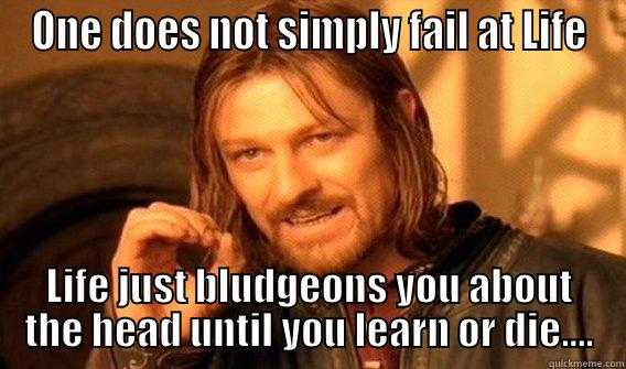 One does not fail at life - ONE DOES NOT SIMPLY FAIL AT LIFE LIFE JUST BLUDGEONS YOU ABOUT THE HEAD UNTIL YOU LEARN OR DIE.... One Does Not Simply