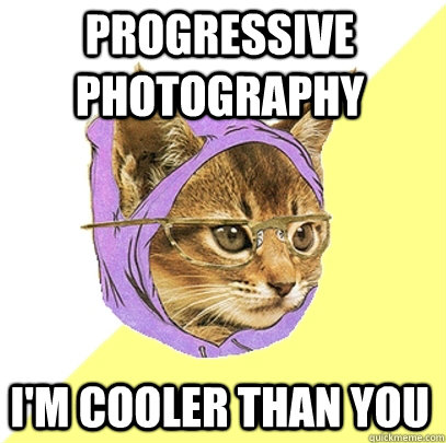 PROGRESSIVE PHOTOGRAPHY I'm COOLER THAN YOU  Hipster Kitty