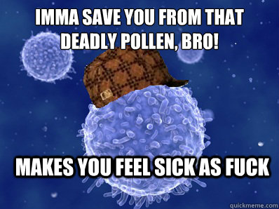 imma save you from that deadly pollen, bro! makes you feel sick as fuck  Scumbag immune system