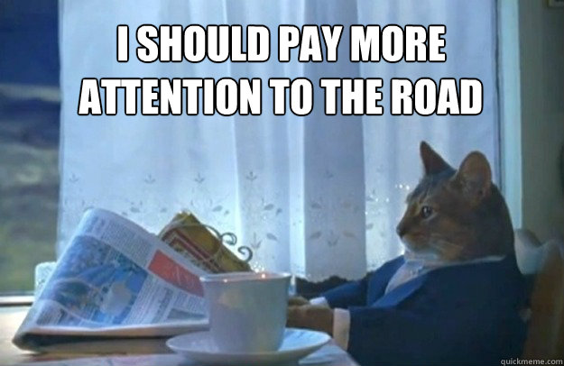 I should pay more 
attention to the road  Sophisticated Cat