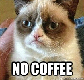  No Coffee  Grumpy Cat on Reposts