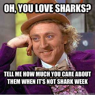 Oh, you love sharks? tell me how much you care about them when it's not shark week  Condescending Wonka