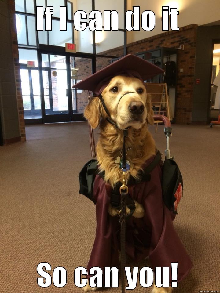 Dog Gradutation Day - IF I CAN DO IT SO CAN YOU! Misc