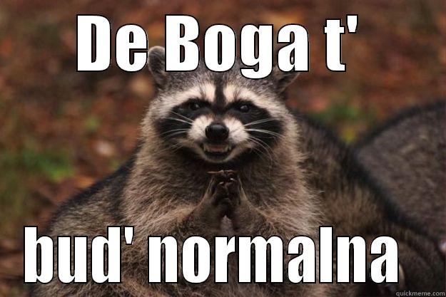 DE BOGA T' BUD' NORMALNA  Evil Plotting Raccoon