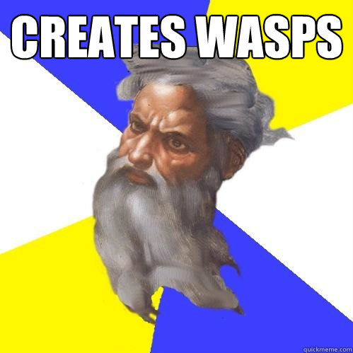 creates wasps   Advice God