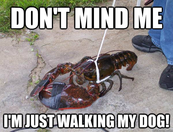Don't mind me I'm just walking my dog! - Don't mind me I'm just walking my dog!  Lobster Walk