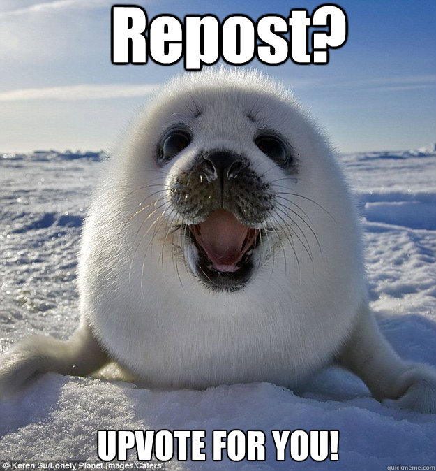 Repost? UPVOTE FOR YOU!  Easily Pleased Seal