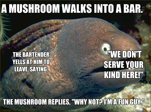 A mushroom walks into a bar. The mushroom replies, 