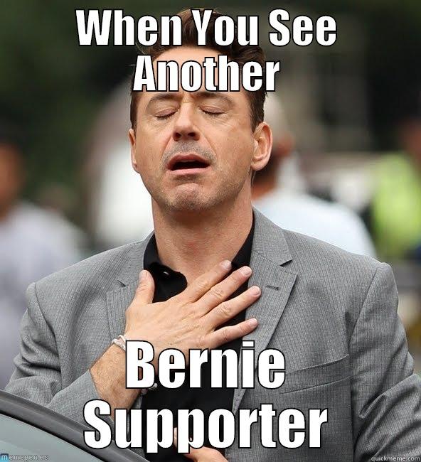 WHEN YOU SEE ANOTHER BERNIE SUPPORTER Misc