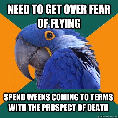Need to get over fear of flying Spend weeks coming to terms with the prospect of death  Paranoid Parrot