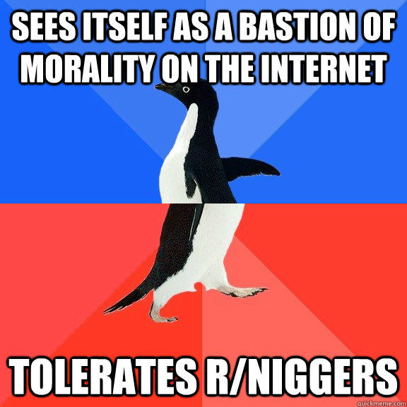 Sees itself as a bastion of morality on the internet tolerates r/niggers  Socially Awkward Awesome Penguin