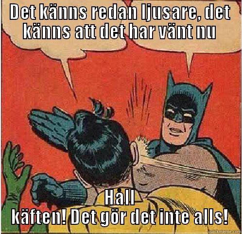 DET KÄNNS REDAN LJUSARE, DET KÄNNS ATT DET HAR VÄNT NU HÅLL KÄFTEN! DET GÖR DET INTE ALLS! Batman Slapping Robin