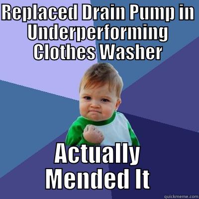 REPLACED DRAIN PUMP IN UNDERPERFORMING CLOTHES WASHER ACTUALLY MENDED IT Success Kid