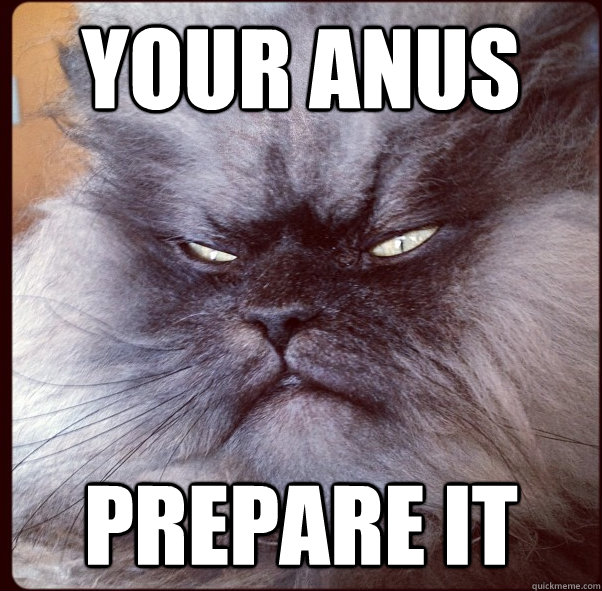 your anus prepare it - your anus prepare it  Misc