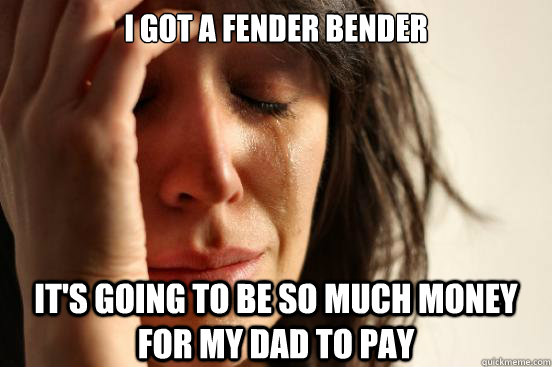 I got a fender bender it's going to be so much money for my dad to pay - I got a fender bender it's going to be so much money for my dad to pay  First World Problems
