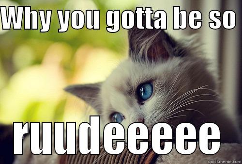 WHY YOU GOTTA BE SO  RUUDEEEEE First World Problems Cat
