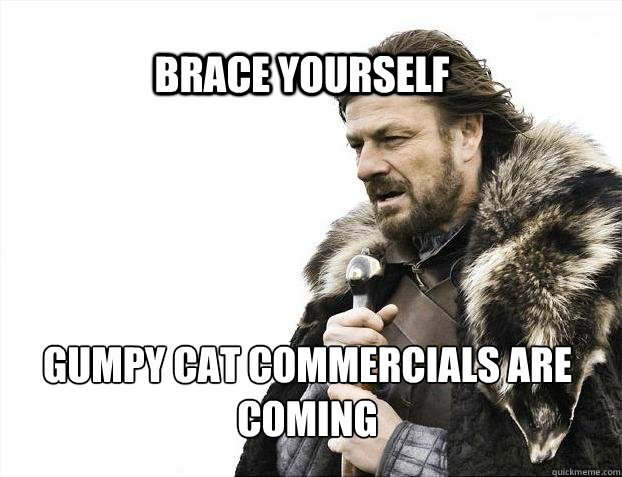 BRACE YOURSELf gumpy cat commercials are coming - BRACE YOURSELf gumpy cat commercials are coming  BRACE YOURSELF SOLO QUEUE