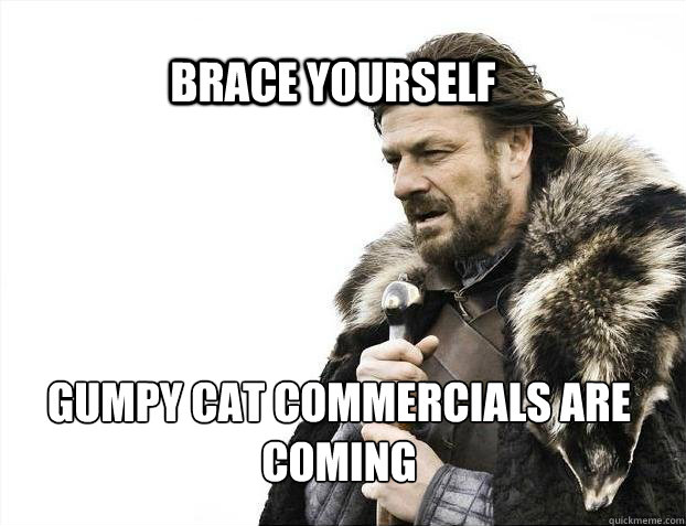BRACE YOURSELf gumpy cat commercials are coming  BRACE YOURSELF SOLO QUEUE