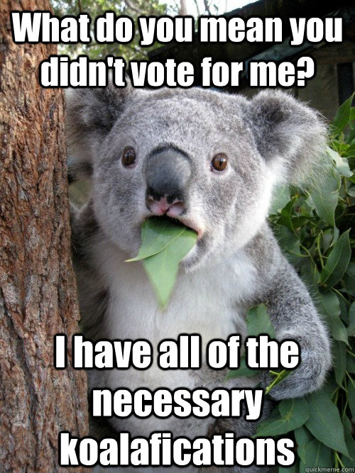 What do you mean you didn't vote for me? I have all of the necessary koalafications  