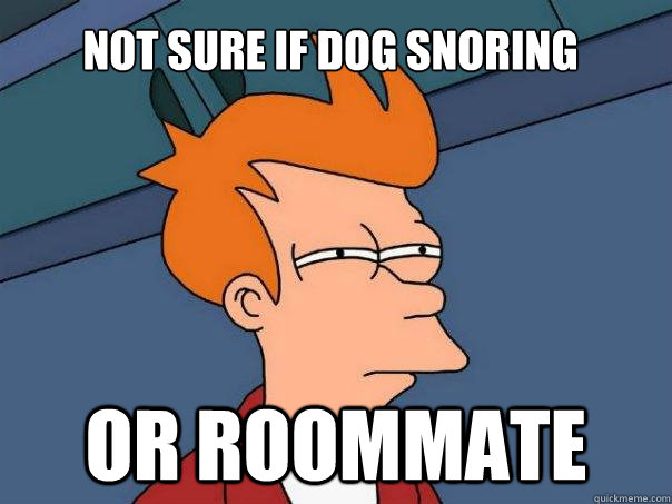 Not sure if dog snoring or roommate  Futurama Fry