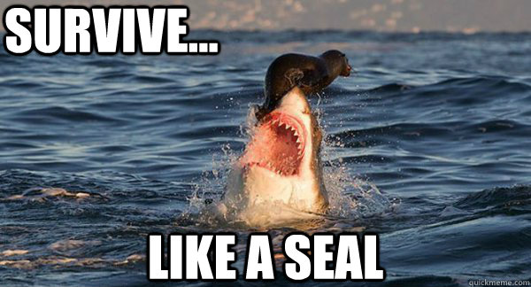 SURVIVE... LIKE A SEAL  seal survive