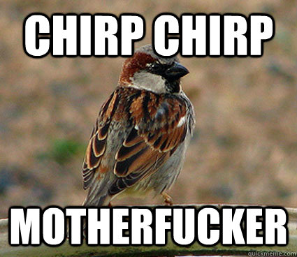 Chirp Chirp motherfucker - Chirp Chirp motherfucker  scumbag bird