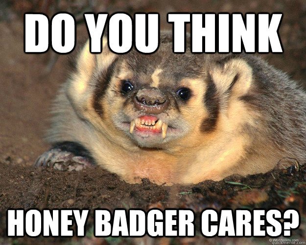 DO YOU THINK  HONEY BADGER CARES?  Honey Badger