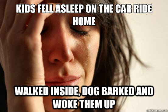 KIDS FELL ASLEEP ON THE CAR RIDE HOME WALKED INSIDE, DOG BARKED AND WOKE THEM UP  First World Problems
