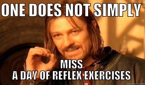 ONE DOES NOT SIMPLY  MISS A DAY OF REFLEX EXERCISES Boromir