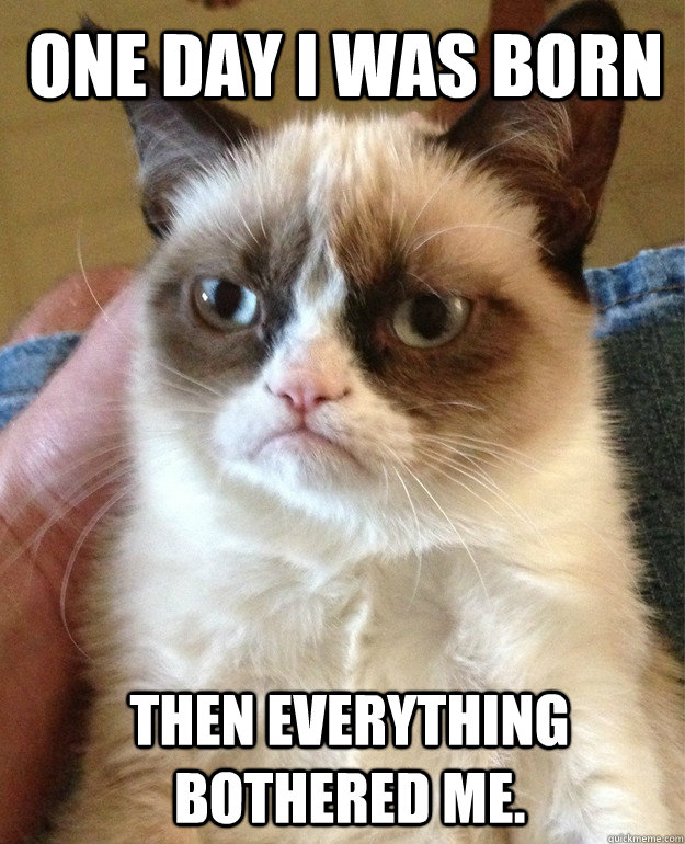 one day i was born then everything bothered me.  Grumpy Cat