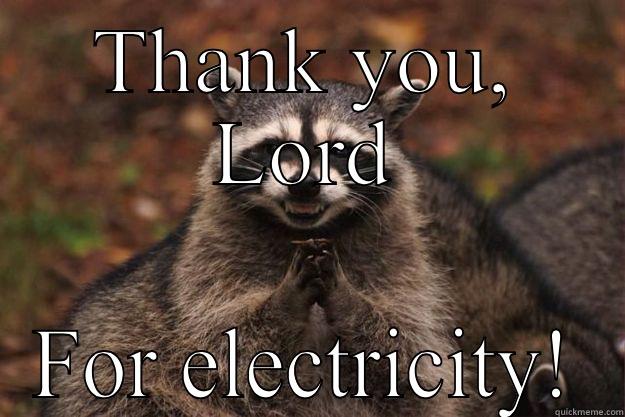 THANK YOU, LORD FOR ELECTRICITY! Evil Plotting Raccoon