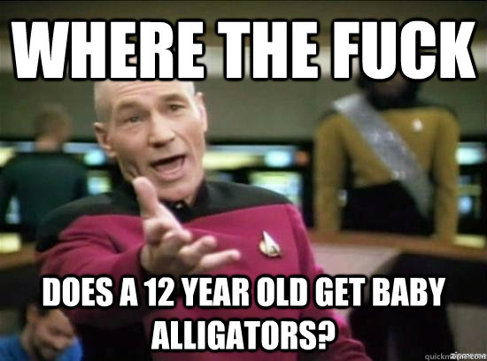 Where the fuck does a 12 year old get baby alligators?  Annoyed Picard HD