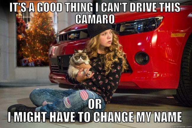 IT'S A GOOD THING I CAN'T DRIVE THIS CAMARO OR I MIGHT HAVE TO CHANGE MY NAME Misc