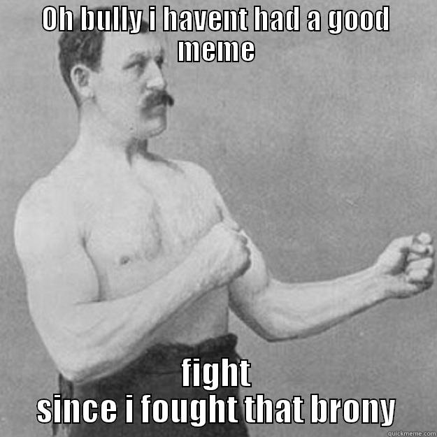 Oh bully :D - OH BULLY I HAVENT HAD A GOOD MEME FIGHT SINCE I FOUGHT THAT BRONY overly manly man