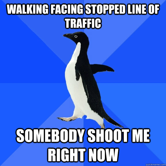 Walking facing stopped line of traffic somebody shoot me right now  Socially Awkward Penguin